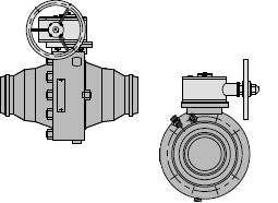      DN 100 , PN 10.0 